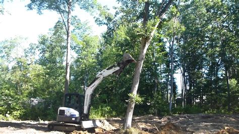 mini excavator pushing over trees|mini excavators for tree removal.